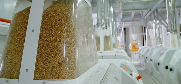 home-feed-mills Industrial Support for Feed Mills