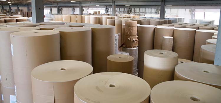 home-paper-mill Industrial Support for Paper Mills