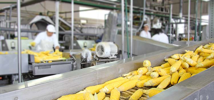 Food processing of corn